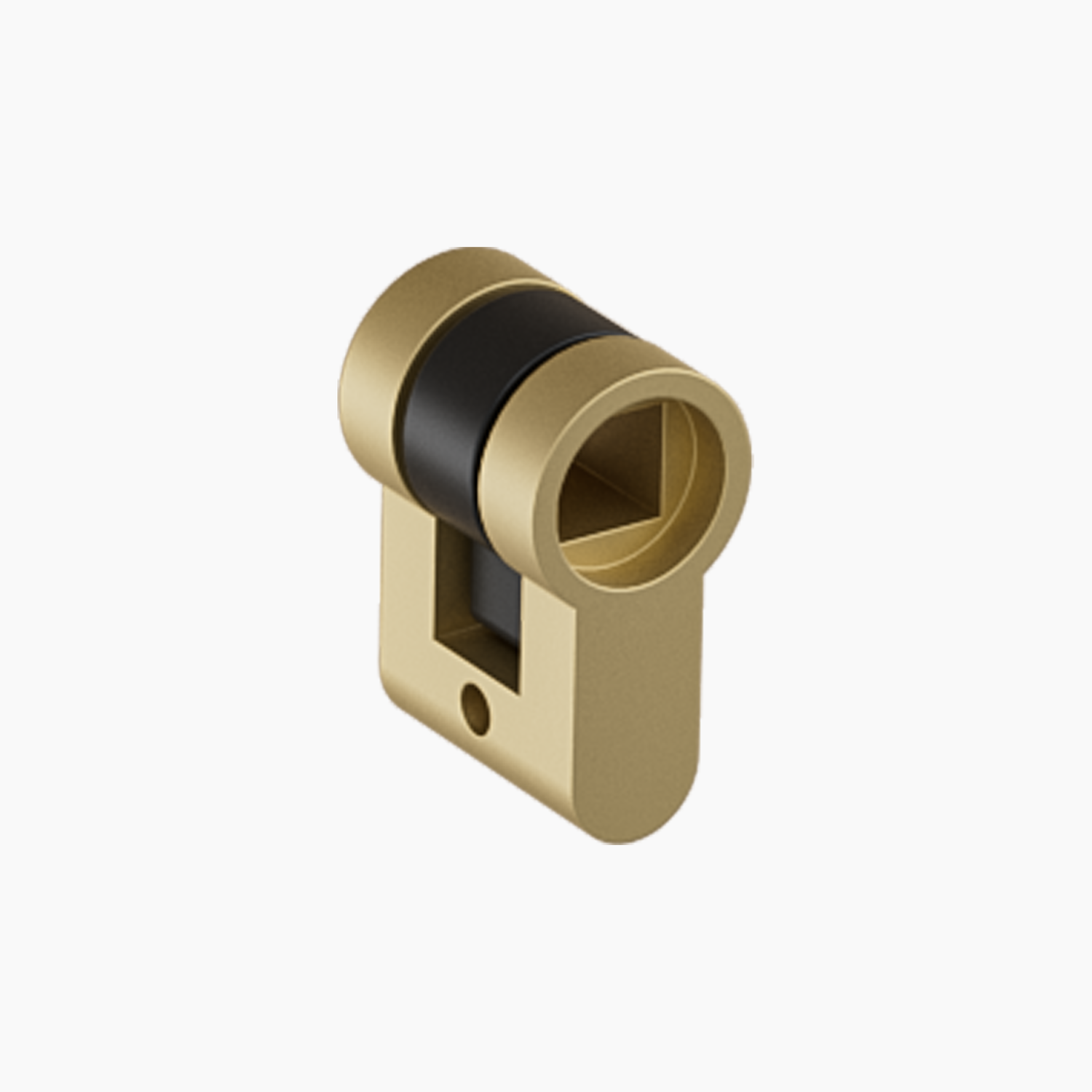 C1 Aux-Cylinder, Make C1N to C1E, Adapted to Euro Profile and Oval/Round Cylinder Range  | YEEUU LOCK