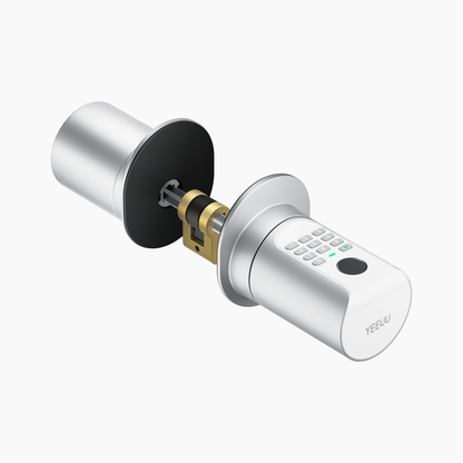 C1 Aux-Cylinder, Make C1N to C1E, Adapted to Euro Profile and Oval/Round Cylinder Range  | YEEUU LOCK